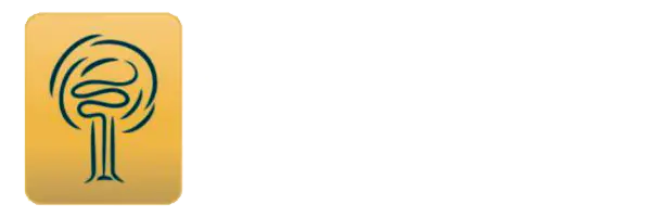 Clínica Vascular | Dr. Luis Fernando Bastos | Brasília - DF
